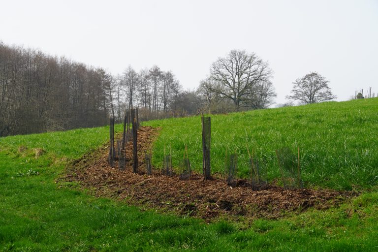 DSC04800