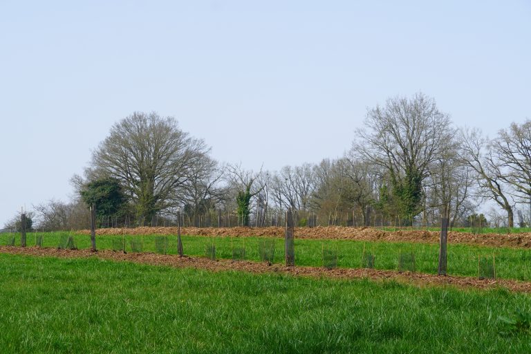 DSC04801