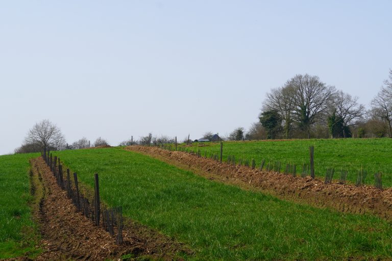 DSC04802